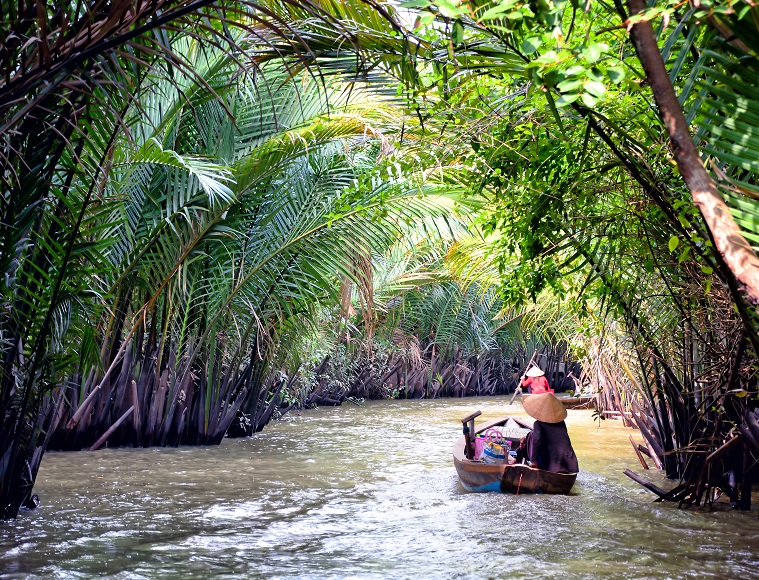 Mekong region experience